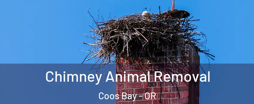 Chimney Animal Removal Coos Bay - OR