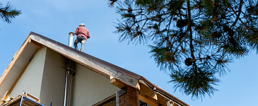 Birds Removal Contractors from Chimney in Coos Bay, OR
