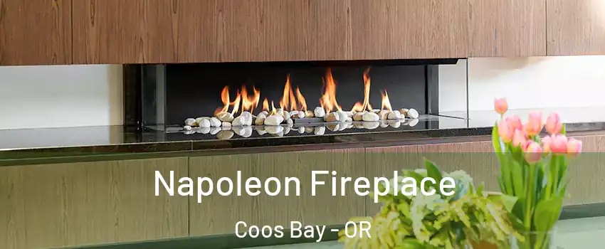  Napoleon Fireplace Coos Bay - OR